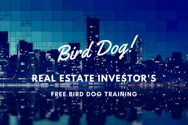 bird-dog-banner2.png